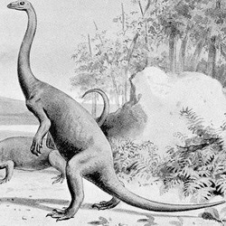 динозавры как термин