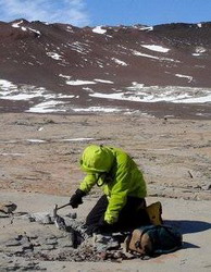 археологи обнаружили следы древней антарктической рептилии