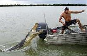 в австралии крокодил загрыз пьяного мужчину, решившего переплыть реку