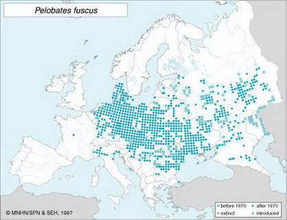 распространение