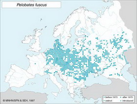 распространение